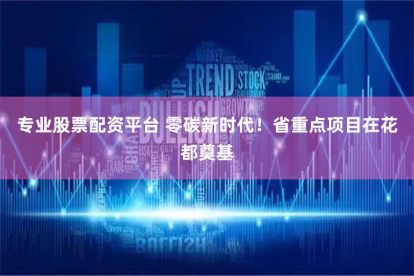 专业股票配资平台 零碳新时代！省重点项目在花都奠基